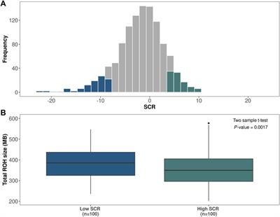 Identification of runs of homozygosity associated with male fertility in Italian Brown Swiss cattle